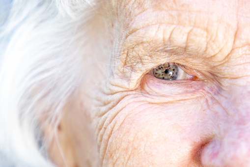 Extreme Close-Up Shot from above of a Beautiful, Sharp, Intelligent Elderly Senior Caucasian Woman's Eyes and Face in the Summer Outdoors